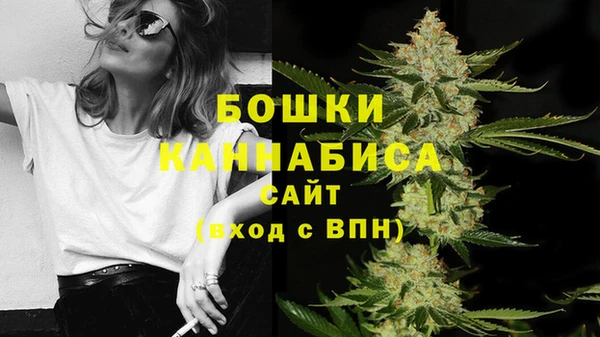 spice Горняк
