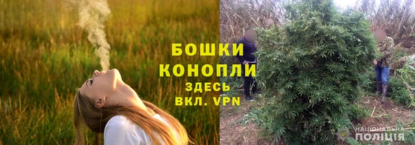прущие крисы Весьегонск