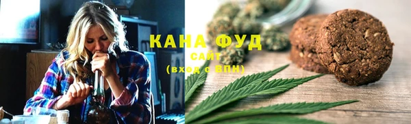 2c-b Горно-Алтайск